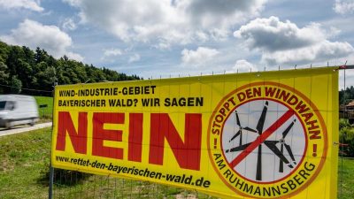 Kritik an Windkraft wird lauter: Handelt Deutschland beim Klimaschutz gegen das Grundgesetz?
