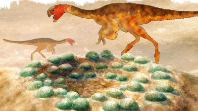 Münchner Neutronenquelle ermöglichte Einblicke in Dinosaurier-Eier