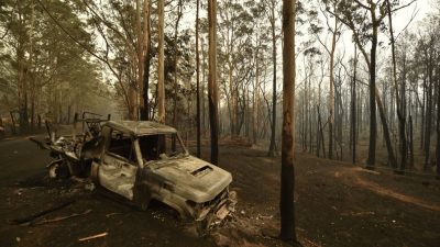 Buschfeuer in Australien – 15 Millionen Euro Spenden an die Feuerwehrleute