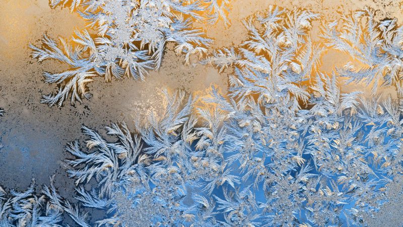 Faszinierende Fraktale: Die Entstehung von Eisblumen stellt Meterologen bis heute vor Rätsel