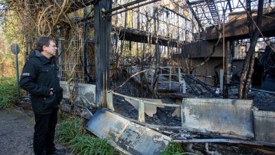 Brand im Krefelder Affenhaus: Beschuldigte lehnen Geldstrafen laut Strafbefehl ab – Prozessauftakt erwartet