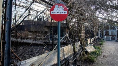 Krefelder Zoo heute geschlossen – Ermittlungen nach Feuerkatastrophe dauern an