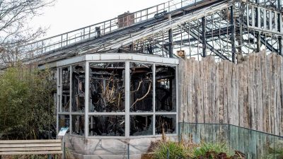 Krefelder Zoo nach Brand in Affenhaus wieder geöffnet