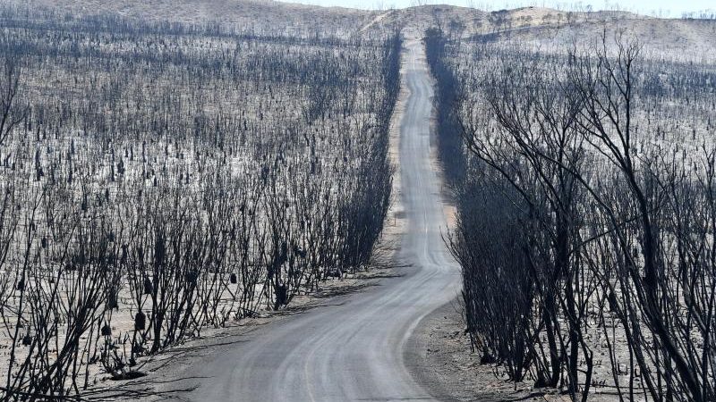 Buschbrände: Es wird wieder heiß in Australien – Risiko für Riesenfeuer steigt
