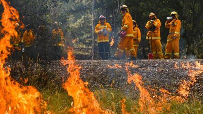 Hunderte Menschen wegen Buschfeuern in Australien evakuiert