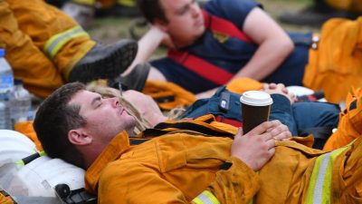 Brände in Australien wüten weiter: erschöpfte Feuerwehrleute, verwundete Koalas