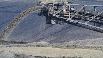 Bund und Länder wollen Kohlekraftwerke früher abschalten – Hambacher Forst soll bleiben