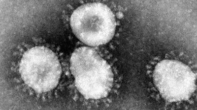 Chinesisches Coronavirus auch in Japan nachgewiesen