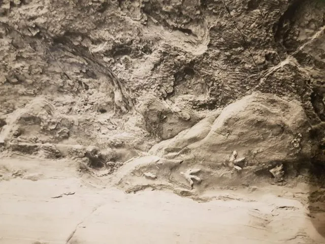 Fußabdrücke von Dinosaurier an einer Höhlendecke in Australien.