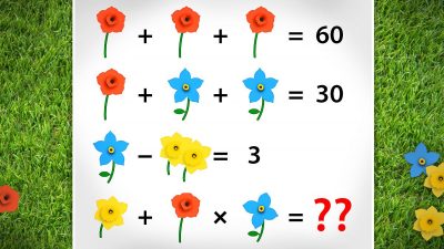 Rätselhafte Blumen und Ballons – Heben Sie beim zweiten Rätsel nicht ab