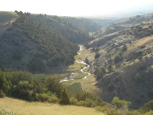Getreide in Altai-Gebirge gefunden