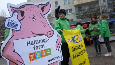 SPD und Grüne fordern teurere Lebensmittel: „Bauern sollten keine Sozialleistungen empfangen“