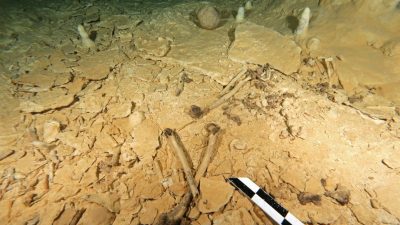 Mindestens 10.000 Jahre alt: Prähistorisches Skelett aus Südmexiko gibt wichtige Hinweise auf Besiedlung Amerikas