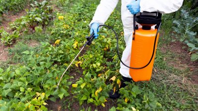 Bundesregierung will Glyphosat für private Gärten noch in diesem Jahr verbieten