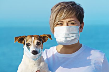 Hongkong: Erster Hund „schwach positiv“ – Haustiere von Coronavirus-Infizierten unter Quarantäne