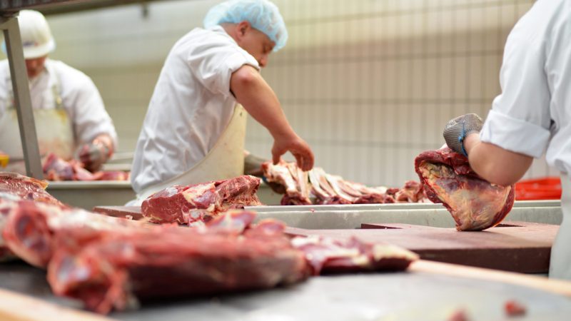 Deutsche Schlachtbetriebe erzeugen weniger Fleisch – Klöckner ruft zum Verzicht auf Billigfleisch auf
