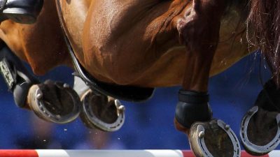 Skandal bei Olympia-Qualifikation im Pferdesport aufgedeckt