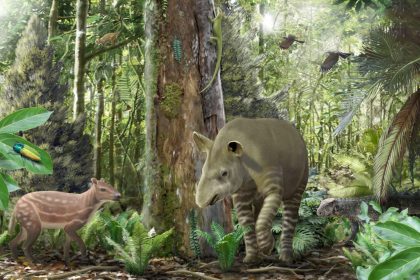 Pferd, Tapir und Co.: Fossilien aus Geiseltal geben neue Einblicke in die Evolution