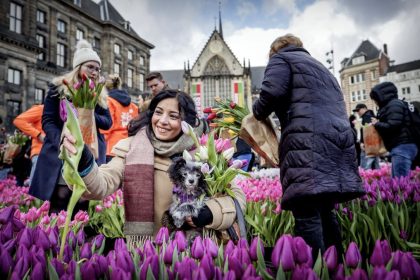 Niederländer hamstern Tulpen statt Klopapier – Händler vernichten täglich Millionen Blumen