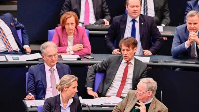 Mützenich über Hanau-Anschlag: „Die AfD ist der Komplize“