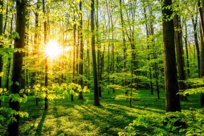 Nenn ich Dich Aufgang oder Untergang … – Von Rainer Maria Rilke
