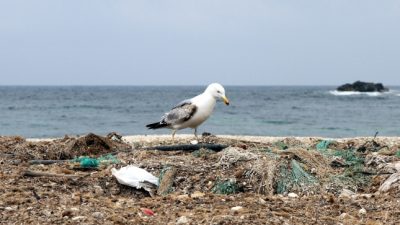 „Plastikkrise“: Europäische Wissenschaftsakademien fordern Maßnahmen gegen Plastikmüll