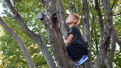 Studie: Verbundenheit zur Natur macht Kinder glücklicher