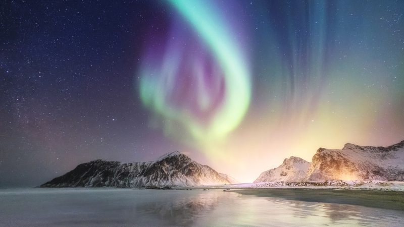 Blühendes Leben in völliger Dunkelheit – Forscher warnen vor Lichtverschmutzung in der Arktis