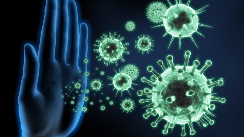 Coronavirus: Ein gestärktes Immunsystem ist die beste Abwehr – Was das Immunsystem stärkt