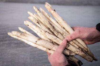 Bauernverband befürchtet Ausfall von Erntehelfern wegen Corona-Krise