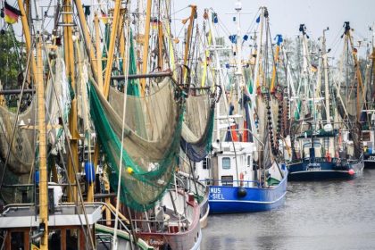 Corona-Krise in Afrika sorgt für Frust bei Krabbenfischern