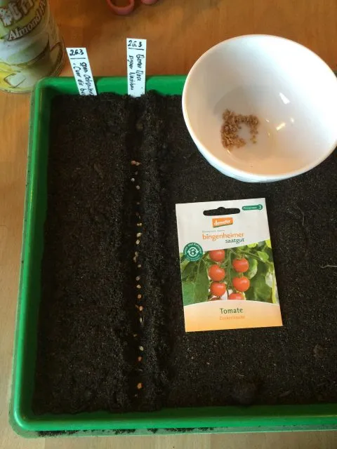 Kartoffeln und Co. für den eigenen Hausgarten