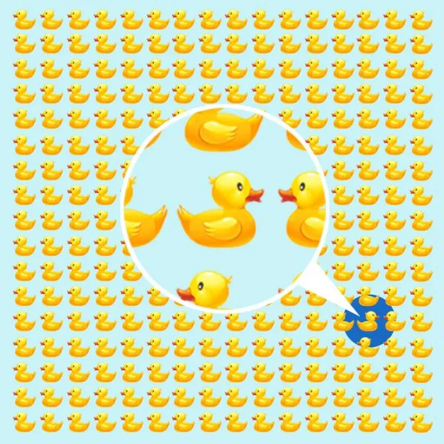 Alle Enten schwimmen in dieselbe Richtung - bis auf Eine.