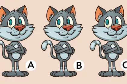 10-Sekunden-Herausforderung: Welche Katzen sind anders?