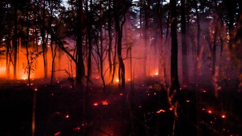 Feuerwehr kämpft weiter gegen Waldbrände im größten Nationalpark Polens
