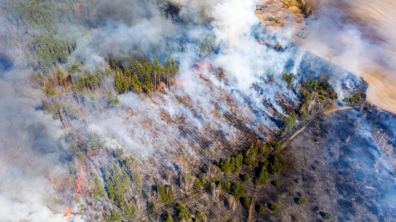 UPDATE: Kein offenes Feuer mehr in Tschernobyl – Regen hilft beim Feuerlöschen