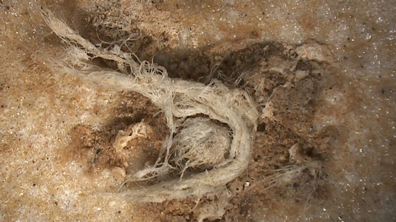 Neandertaler drehten Stricke: Mehr als 40.000 Jahre alte Schnurreste an Steinwerkzeug entdeckt