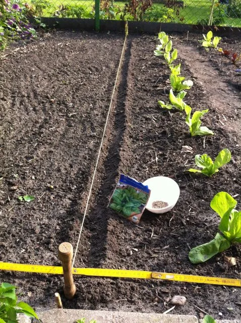 Kartoffeln und Co. für den eigenen Hausgarten
