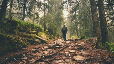 An den Wald – Von Christian Morgenstern