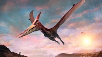 Dinosaurier-Fossilien bringen Flugingenieure auf neue Luftfahrt-Konzepte
