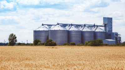 Hamsterkäufe an Getreidemärkten: Immer mehr bedeutende Weizen-Erzeugerländer planen Exportstopps