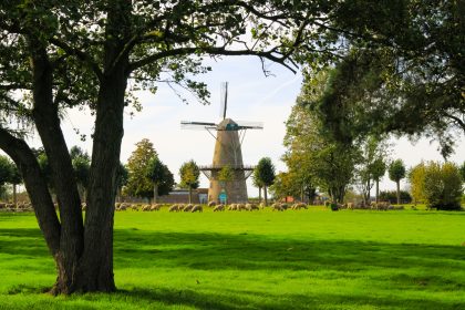 Musik am Abend: Es klappert die Mühle am rauschenden Bach