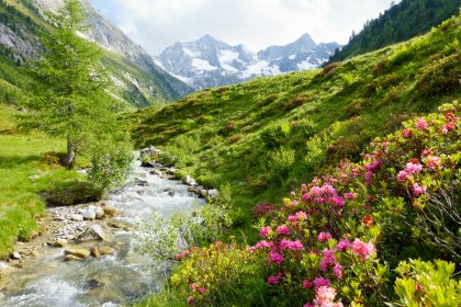 Die schönste Zeit – Von Annette von Droste-Hülshoff