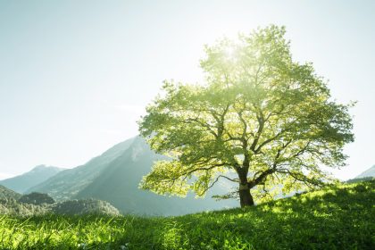 Klassik des Tages: Zu Beethovens Geburtstag