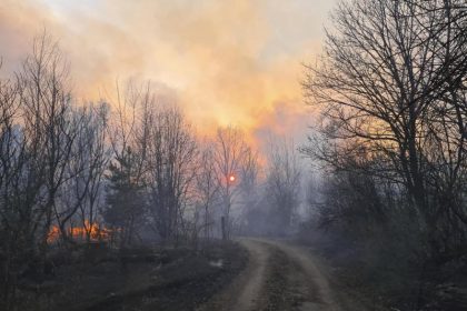 Mindestens neun Tote bei Waldbränden im Osten der Ukraine