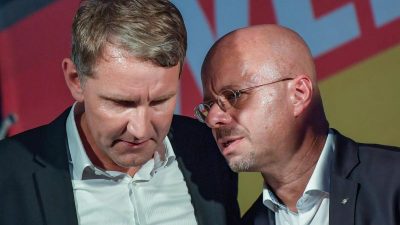 AfD-Vorstand missbilligt Höcke Äußerungen – jetzt soll Kalbitz seine Kontakte prüfen