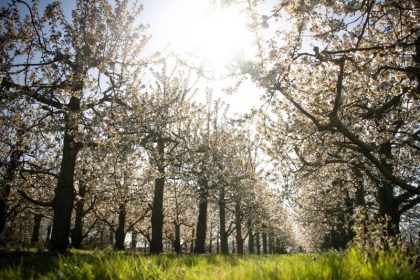 Sonnig-trockenes Wetter im ganzen Land