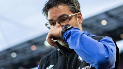 Schalke-Trainer Wagner: «Sportlicher Erfolg umso wichtiger»
