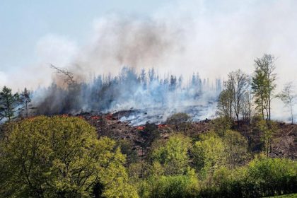 Waldbrände machen Feuerwehren zu schaffen