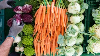 Agrarmarkt-Analyse: Preise für frische Lebensmittel steigen – Gemüse 27 Prozent teurer als im Vorjahr